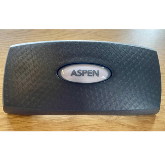 Aspen Swim Spa Headrest